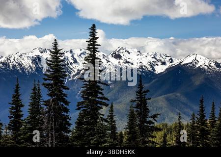 Die zerklüfteten Olympic Mountains aus der Hurricane Ridge, Olympic National Park, Washington State, USA Stockfoto