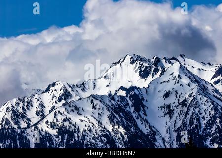Die zerklüfteten Olympic Mountains aus der Hurricane Ridge, Olympic National Park, Washington State, USA Stockfoto