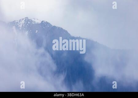 Die zerklüfteten Olympic Mountains aus der Hurricane Ridge, Olympic National Park, Washington State, USA Stockfoto