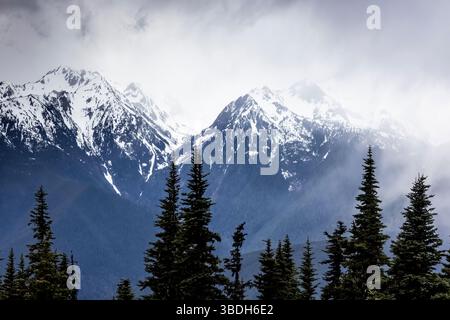 Die zerklüfteten Olympic Mountains aus der Hurricane Ridge, Olympic National Park, Washington State, USA Stockfoto