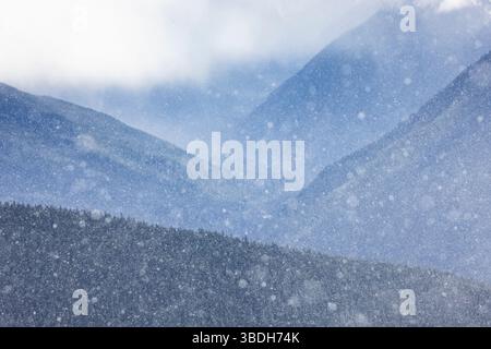 Die zerklüfteten Olympic Mountains aus der Hurricane Ridge, Olympic National Park, Washington State, USA Stockfoto