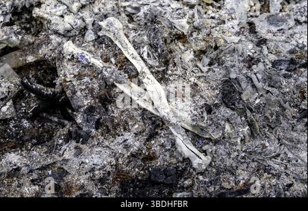 Details des alten Krematoriums mit Überresten menschlicher Knochen, Friedhof Stockfoto