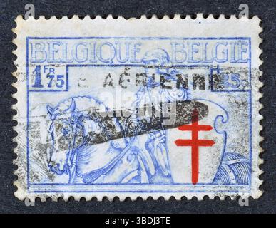 Gestempelte Briefmarke, gedruckt von Belgien, die Knight, Anti-Tuberkulose Fund 1934, um 1934 zeigt. Stockfoto
