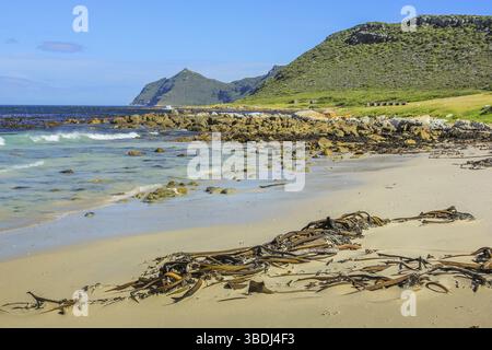Fernbedienung und spektakulären Strand auf der östlichen Seite der Kap Halbinsel mit Blick auf die False Bay, Western Cape, Südafrika. Das Kap der Guten Hoffnung, Angebot Stockfoto