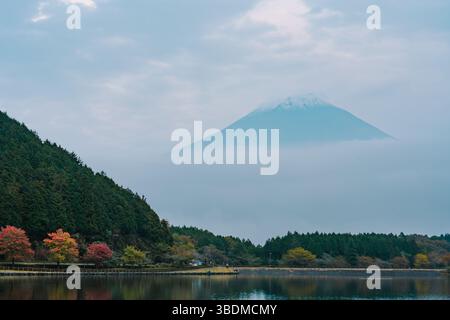 Mt. Fuji über dem Tanuki-See mit Herbstlaub bei Sonnenuntergang in Fujinomiya, Japan. Stockfoto