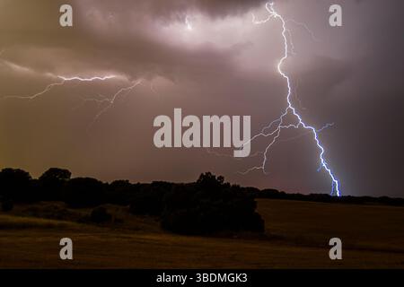 Eine Blitzanzeige beleuchtet den dunklen Himmel über einem ruhigen Feld während eines starken Gewitters. Stockfoto