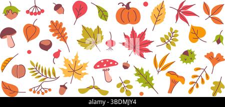 Herbstliche Elemente. Blätter, Pilze und Eichel, Kastanie und Kürbis, Beere. Gelb, orange und rot, grünes Laub im Herbst, Ernte handgezeichnet Stock Vektor