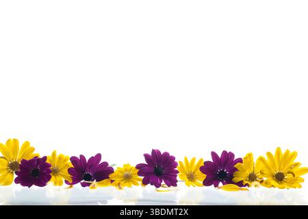 Blumenstrauß auf weißem Hintergrund. Stockfoto