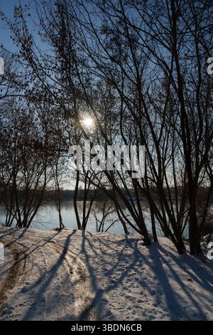 Eine verschneite Straße mit Bäumen. Die Sonne scheint durch die Bäume. Postkarte. See. Natur. Stockfoto