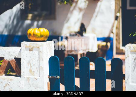 Heller gelber Kürbis auf einer verwitterten weißen Säule neben einem blauen Holztor, mit einer sonnendurchfluteten Terrasse und verschwommenen Gartenmöbeln im Hintergrund, aus Stockfoto
