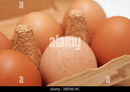 Eier in einer beigefarbenen Papierkarton. Nahaufnahme. Stockfoto