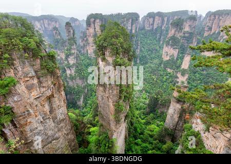 Zhangjiajie National Forest Park in der Provinz hunan Stockfoto
