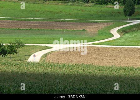 Verwinkelte Feldwege zwischen Feldern und Wiesen im Sommer Stockfoto