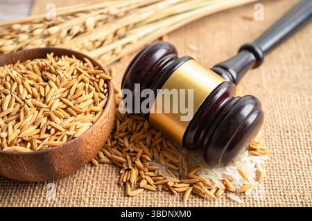 Beurteilen Sie den Hammer mit gutem Getreidreis von der landwirtschaftlichen Farm. Gesetz und Gericht Konzept. Stockfoto