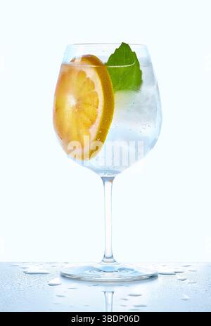 Ein erfrischendes, prickelndes Wasser mit einer Grapefruitscheibe und einem Minzblatt, elegant präsentiert. Stockfoto