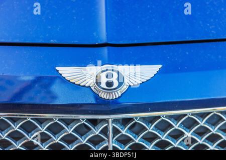 Nahaufnahme des Bentley-Emblems auf blauer Luxus-Motorhaube mit verchromtem Kühlergrill. Miami Beach. USA. Stockfoto