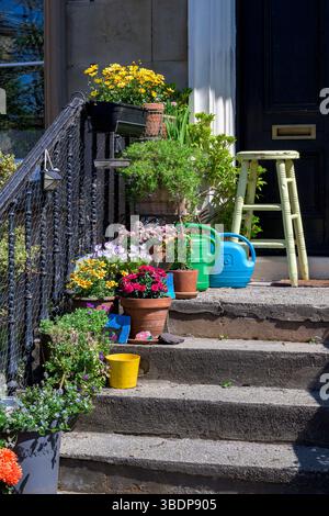 Frühlingsblumen in Töpfen und Behältern auf Haustreppen im Freien, Großbritannien Stockfoto