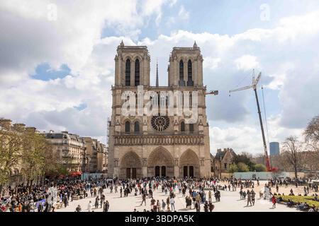 Beliebte Touristenattraktion Notre-Dame de Paris, eine mittelalterliche katholische Kathedrale an der Île de la Cité im 4. Arrondissement von Paris, Frankreich Stockfoto
