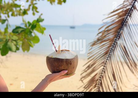Eine Hand hält ein frisches Kokosnussgetränk an einem malerischen Strand in Thailand. Kristallklares Wasser und weit entfernte Segelboote schaffen eine ruhige tropische Atmosphäre Stockfoto