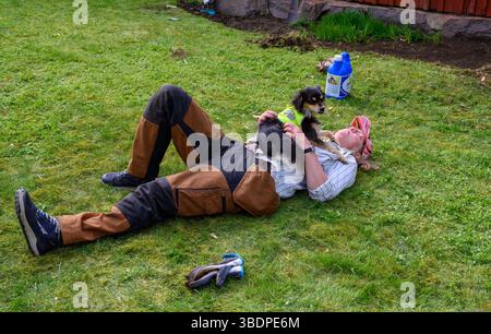 Eine Frau liegt auf dem Gras im Garten und spielt mit einem kleinen Hund. Beide genießen einen sonnigen Tag umgeben von grünem Gras und einer warmen Atmosphäre Stockfoto