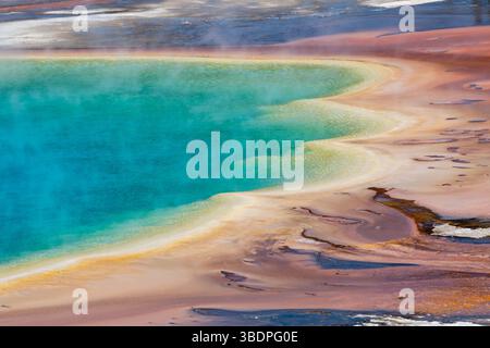 Nahaufnahme des äußeren Umfangs der Grand Prismatic Spring im Midway Geyser Basin des Yellowstone National Park, Wyoming Stockfoto