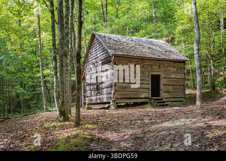 Am Fighting Creek Nature Trail vor Gatlinburg Tennessee im Great Smoky Mountains National Park könnt ihr Cagin sammeln Stockfoto
