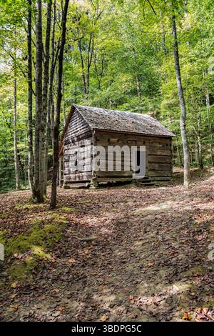 Am Fighting Creek Nature Trail vor Gatlinburg Tennessee im Great Smoky Mountains National Park könnt ihr Cagin sammeln Stockfoto
