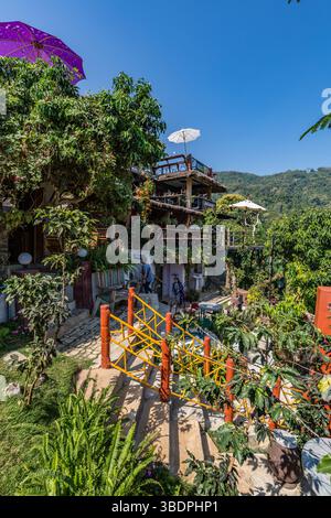Üppiger Garten im Doi Phamee Coffee Shop und Restaurant im Viertel Mae Sai in Chiang Rai, Thailand Stockfoto
