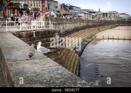 Zwei Möwen thronen auf einer Meeresmauer in Bridlington, mit der Promenade und farbenfrohen Fahrgeschäften im Hintergrund. Urlaubs- oder Aufenthaltskonzept. Stockfoto