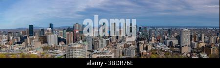 Blick über Montreal vom Mont Royal in Kanada - mit den Wolkenkratzern, den Hochhäusern und dem St Lawrence River in der Innenstadt von Montreal Stockfoto