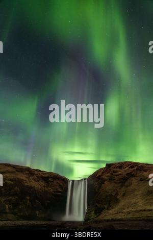Grüne Nordlichter über dem Skogafoss-Wasserfall in Island bei Nacht mit Sternenhimmel Stockfoto
