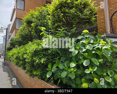 Japanische Werke Seite des Gebäudes Stockfoto