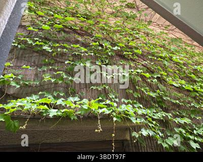 Japanische Werke Seite des Gebäudes Stockfoto