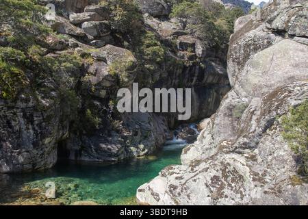 Smaragdfarbener Bergbach in einem Granitschlucht unter einem klaren blauen Himmel Stockfoto