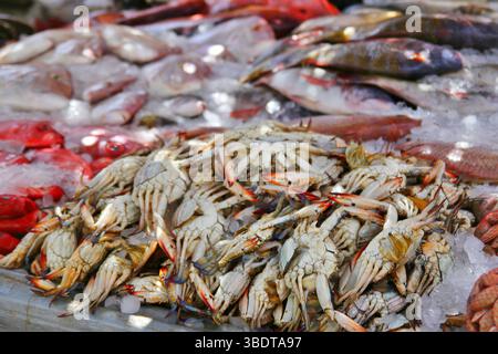 Frische Krabben und verschiedene Fische werden auf Eis am Meeresfrüchtemarkt ausgestellt, lebhaft und bereit zum Verkauf Stockfoto