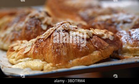 Nahaufnahme von frisch gebackenen Mandelcroissants in einer Bäckerei auf einem Tablett Stockfoto