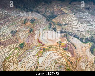 Sonnenaufgang über Yuanyang Reisterrassen in Yunnan, China, einer der neuesten UNESCO-Weltkulturerbestätten, Hintergrundbild Luftbild Stockfoto