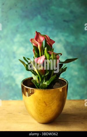Strauß aus Calla-Lilien in goldenem Topf auf Holztablett Stockfoto