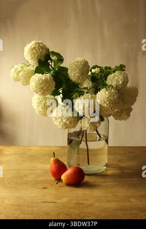 Strauß aus weißen Schneeballviburnum-Blumen und zwei roten Birnen auf einem Holztisch Stockfoto
