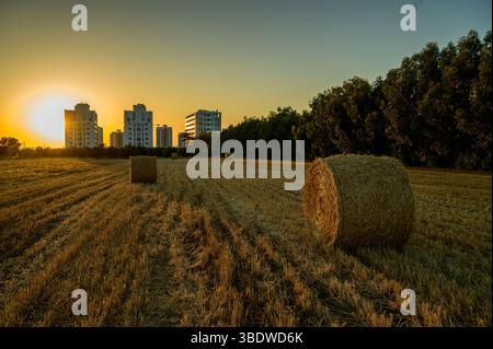 Strohballen auf dem Feld bei Sonnenuntergang in Zypern Stockfoto