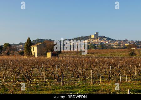 Typischer Weinberg mit Steinen in der Nähe von Chateauneuf-du-Pape, Cotes du Rhone, Frankreich Stockfoto