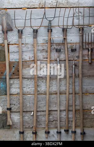 An der Holzwand hängen die Werkzeuge des Bauern der Villa und Schaufeln. Stockfoto