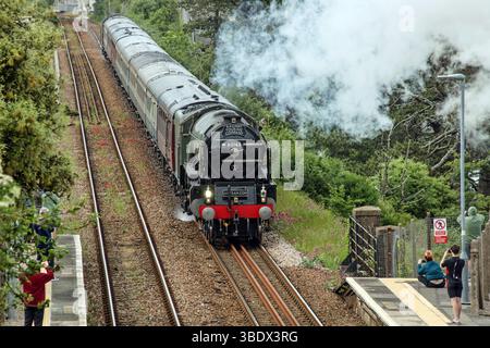 Der Royal Dutchy Steam Train überquert das St. Leven Viaduct in Devonport im Mai 2025 Stockfoto