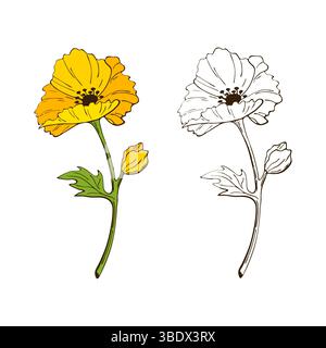 Kalifornische Mohnblume, Konturzeichnung. Eschscholzia Blumen. Symbol, Logo. Auf weißem Hintergrund. Vektorabbildung Stock Vektor