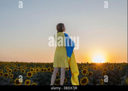 Traurige einsame Frau mit gelber und blauer ukrainischer Flagge, die von den Schultern hängt, steht bei Sonnenuntergang vor blühendem Sonnenblumenfeld. Stoppt den Krieg in der Ukraine. Stockfoto