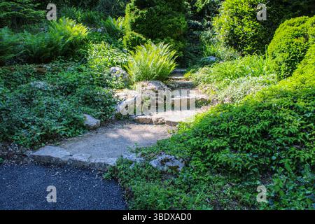 Ruhiger Pfad durch wilde natürliche Gartenlandschaft Stockfoto