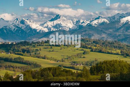 Die schneebedeckten polnischen Tatra-Berge erheben sich über üppig grüne Täler unter einem klaren blauen Himmel und zeigen die Schönheit der Natur in einer ruhigen Umgebung im Freien. Stockfoto