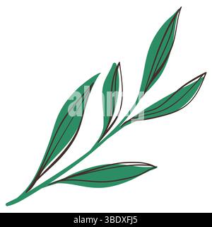 Grüne Verzweigung mit einfachen Pinsellinien. Zartes Laub mit niedlichen Linienskizzen von Zweigen isoliert auf weißem Hintergrund. Naturkraut Stock Vektor