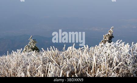 Kristallschleier des Winters: Die ätherische Schönheit der Eislandschaften von Rime Stockfoto