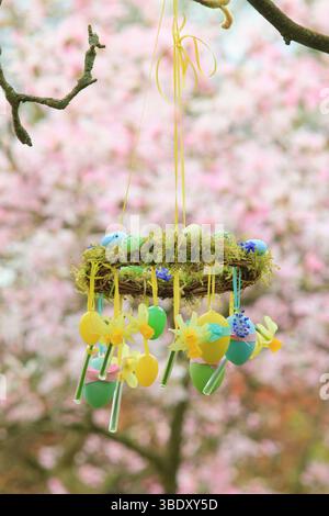 Osterkranz. Einfach zu badizierendes Kranzprojekt mit Moos, Miniatur-Narzissen und Osterei, aufgehängt auf Gartenzweig mit gelbem Band. UK Stockfoto